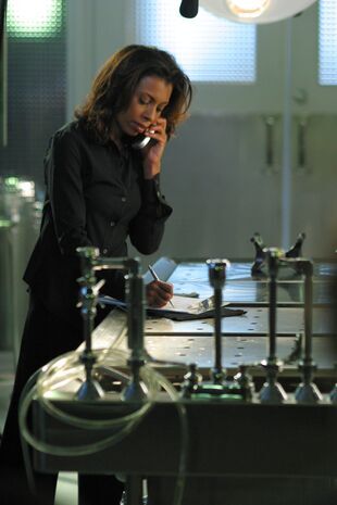 Les experts : Miami Saison 2 Épisode 12