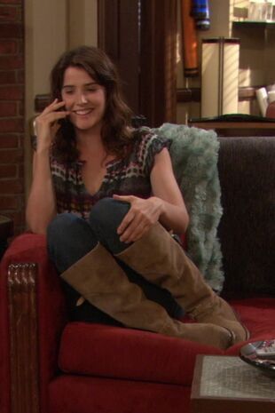 How I Met Your Mother Seizoen 6 Aflevering 3