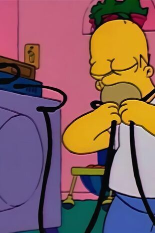 The Simpsons Seizoen 2 Aflevering 13