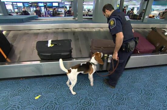 Border Patrol Canada