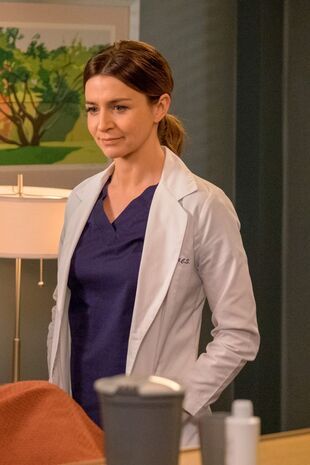 Anatomia lui Grey Sezonul 14 Episodul 23