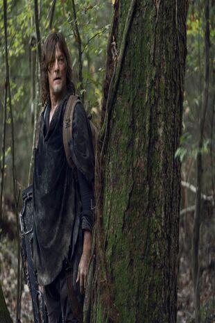 The Walking Dead: Invazia zombi Sezonul 10 Episodul 17