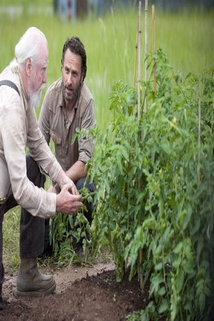 The Walking Dead: Invazia zombi Sezonul 4 Episodul 1