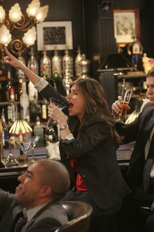 How I Met Your Mother Seizoen 5 Aflevering 13