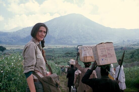 Dian Fossey: Geheimnisse im Nebel