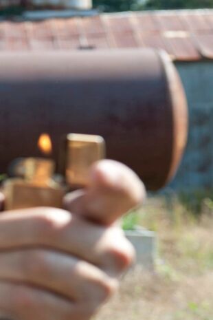 The Walking Dead: Invazia zombi - Sămânţa