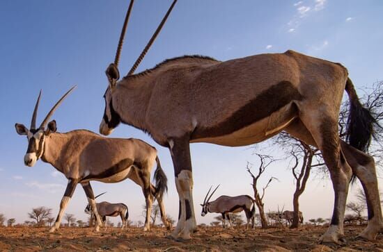 Abenteuer Namibia –Land...