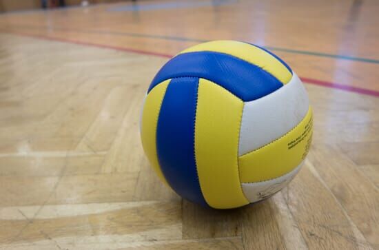 LIVE Volleyball Champions League Volley 2024/2025: