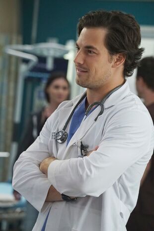 Anatomia lui Grey Sezonul 12 Episodul 3