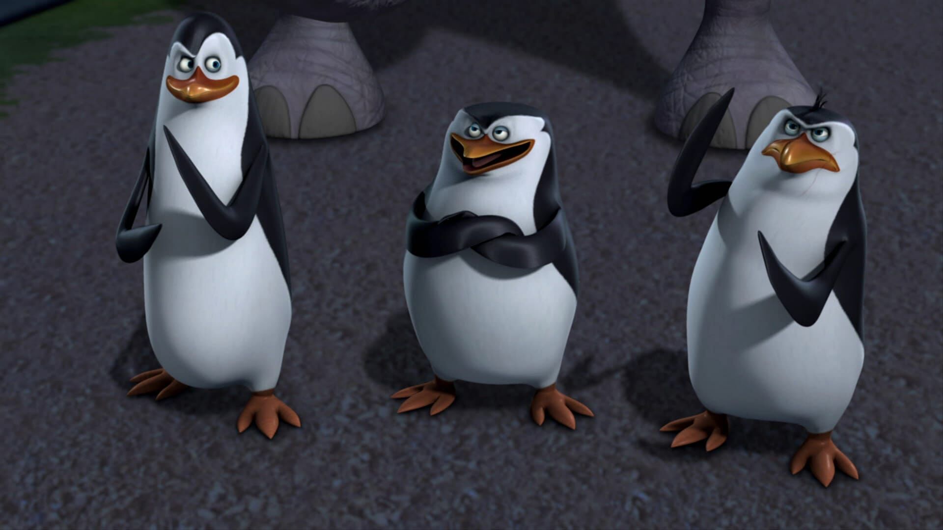 Pinguinii din Madagascar Sezonul 2 Episodul 6
