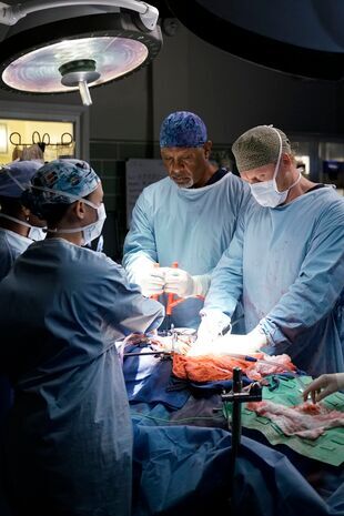 Anatomia lui Grey Sezonul 13 Episodul 8