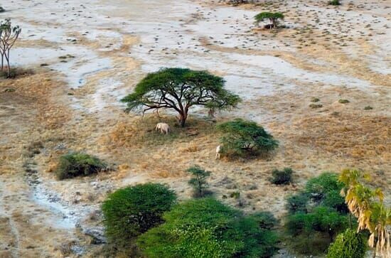 Kenia – Land der Kontraste