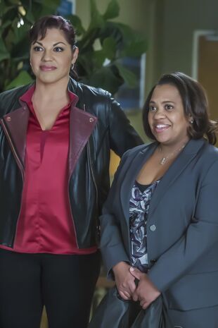 Anatomia lui Grey Sezonul 12 Episodul 13