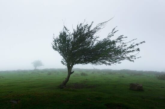 Geheimnisvolle Erde: Wind