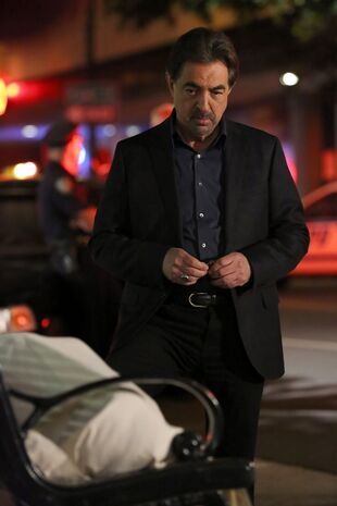 Minţi criminale Sezonul 8 Episodul 24