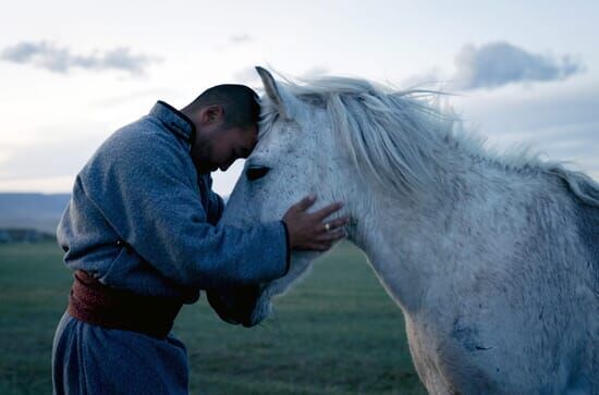 Mongolei: Der Pferderetter