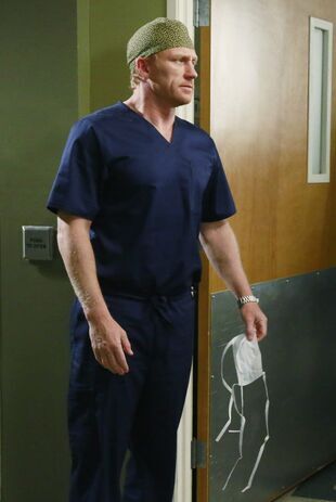 Anatomia lui Grey Sezonul 11 Episodul 17