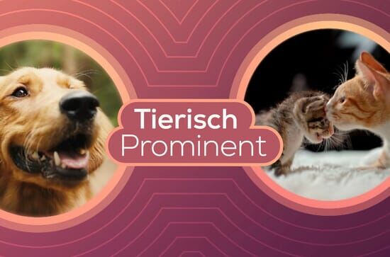 Tierisch prominent