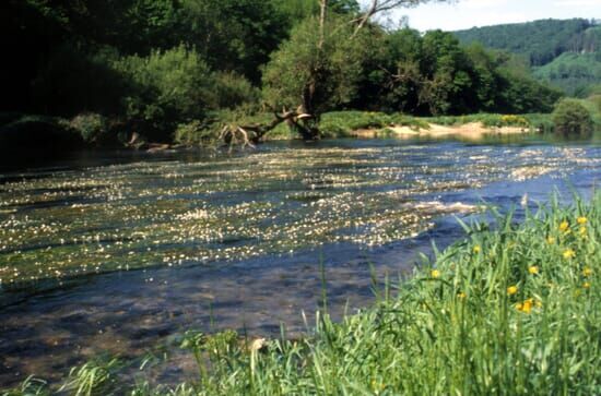 Die Donau – Von der Quelle bis Linz