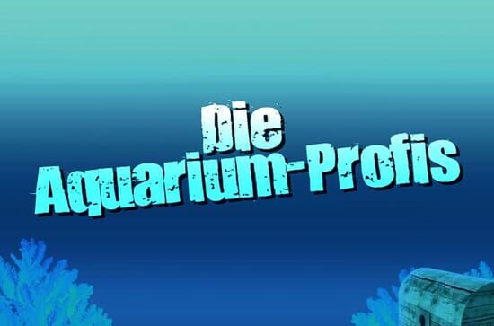 Die Aquarium-Profis