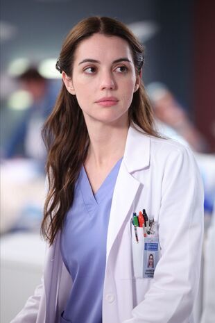 Anatomia lui Grey Sezonul 19 Episodul 16