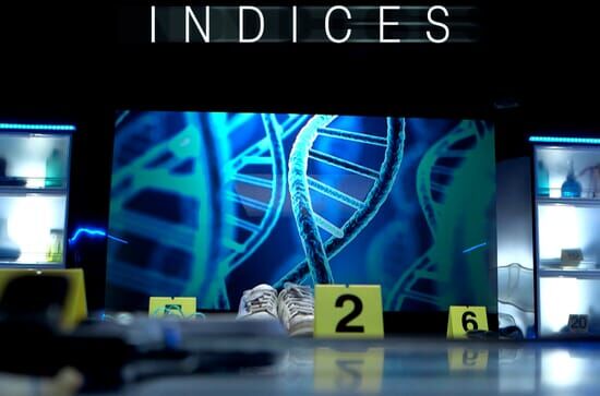 Crimes et indices