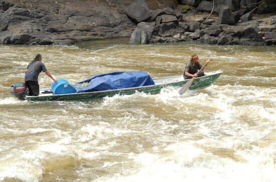 Tief im Regenwald