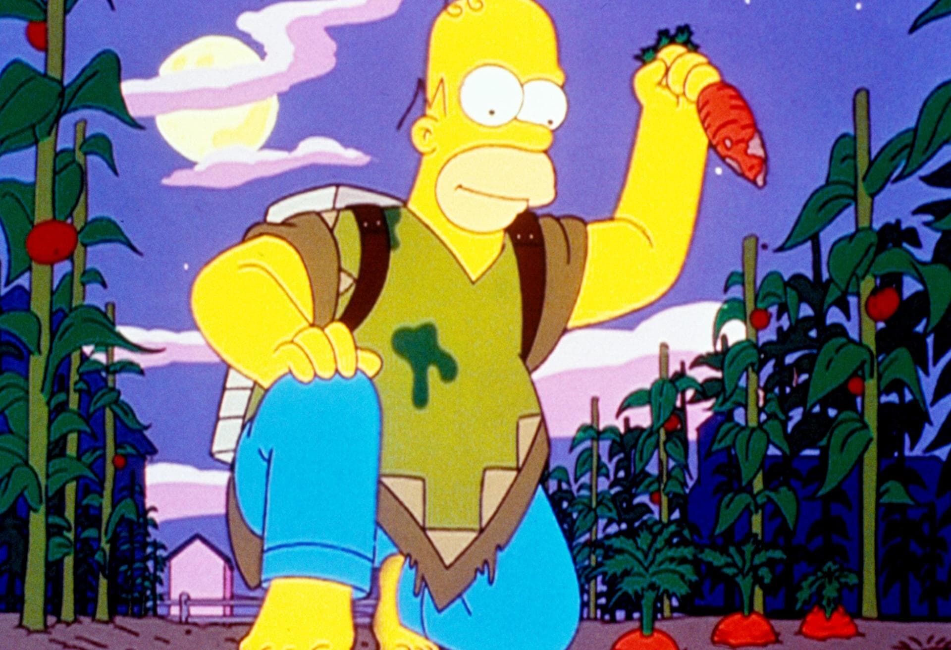 The Simpsons Seizoen 10 Aflevering 6