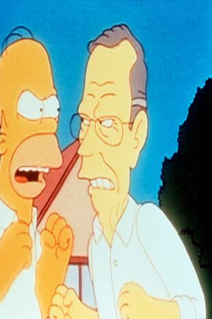 Les Simpson Saison 7 Épisode 13