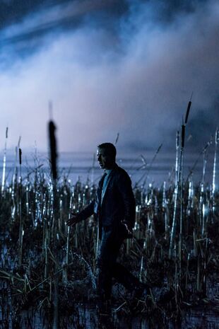 Succesiunea - Nimeni nu lipseşte vreodată