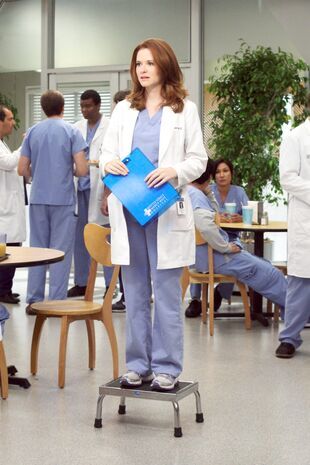 Anatomia lui Grey Sezonul 8 Episodul 1