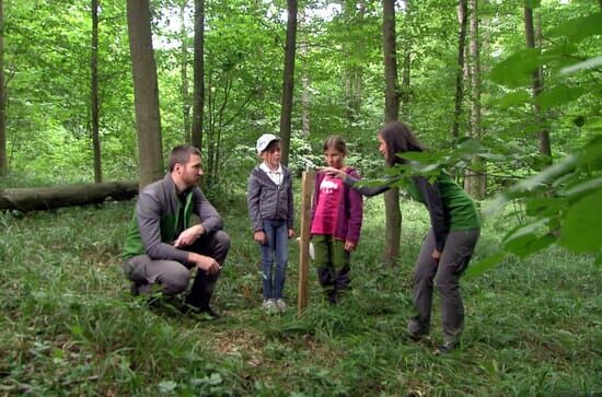 Rückkehr der Wildnis – der Nationalpark Thayatal in Niederösterreich