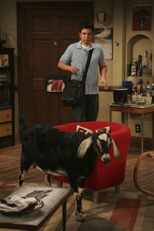How I Met Your Mother Seizoen 4 Aflevering 10