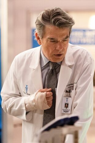 Anatomia lui Grey Sezonul 18 Episodul 7