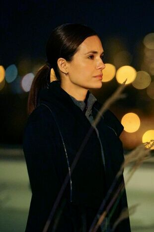 Camera de gardă Sezonul 4 Episodul 8