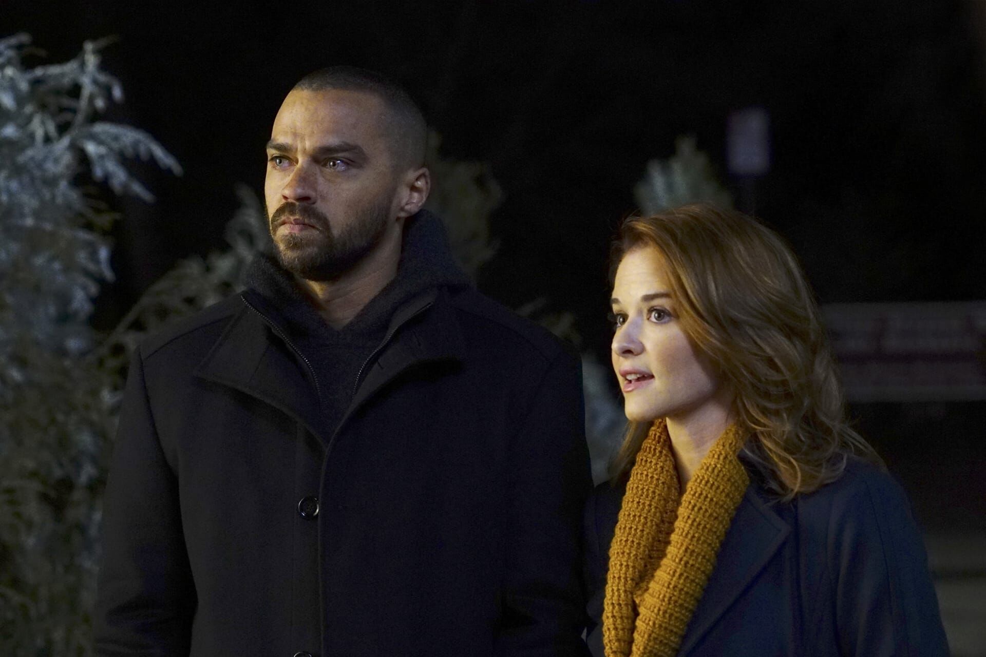 Anatomia lui Grey Sezonul 13 Episodul 16