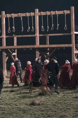 The Handmaid's Tale : La servante écarlate - Après