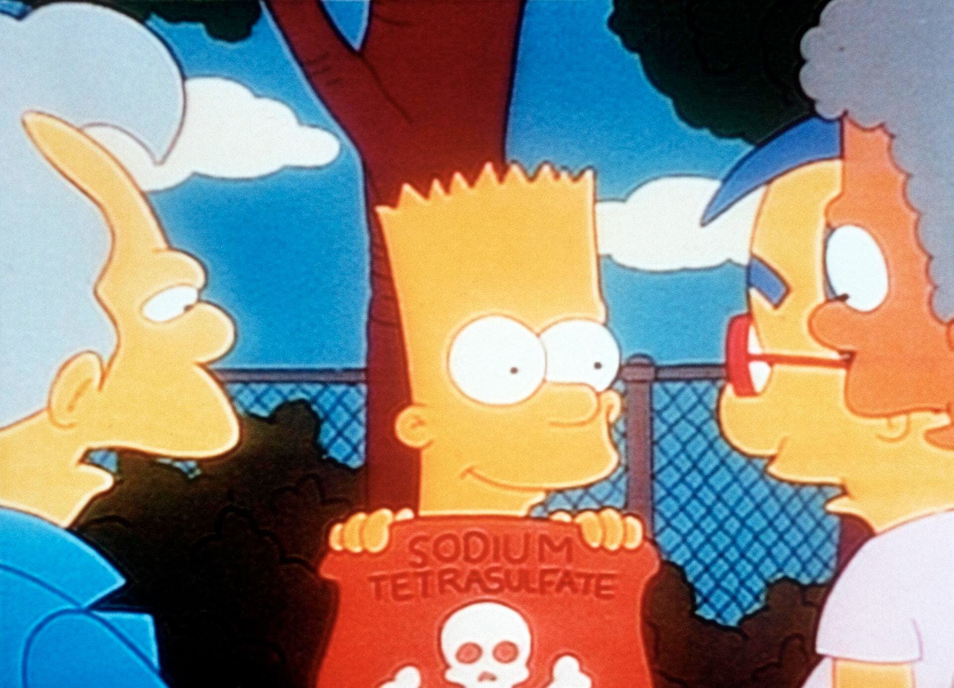 Les Simpson Saison 2 Épisode 14