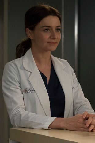 Anatomia lui Grey Sezonul 14 Episodul 23