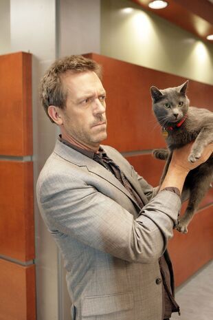 Dr House Saison 5 Épisode 18