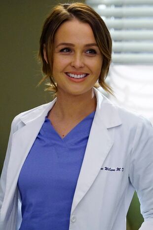 Anatomia lui Grey Sezonul 12 Episodul 23