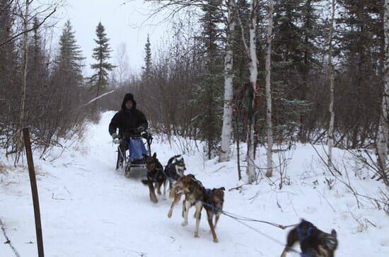 Yukon Men – Überleben in Alaska