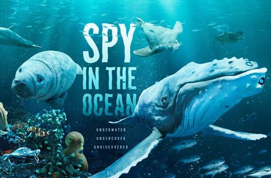 Spy in the Ocean