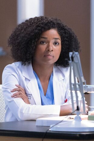 Anatomia lui Grey - Lovit de furtună