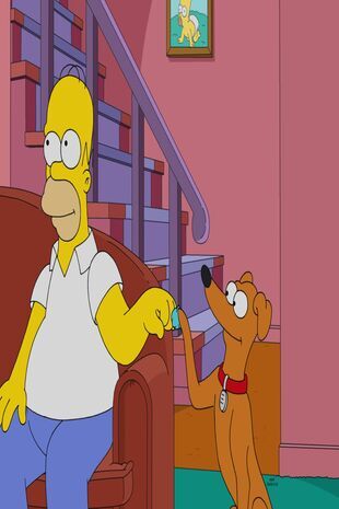 The Simpsons Seizoen 33 Aflevering 14
