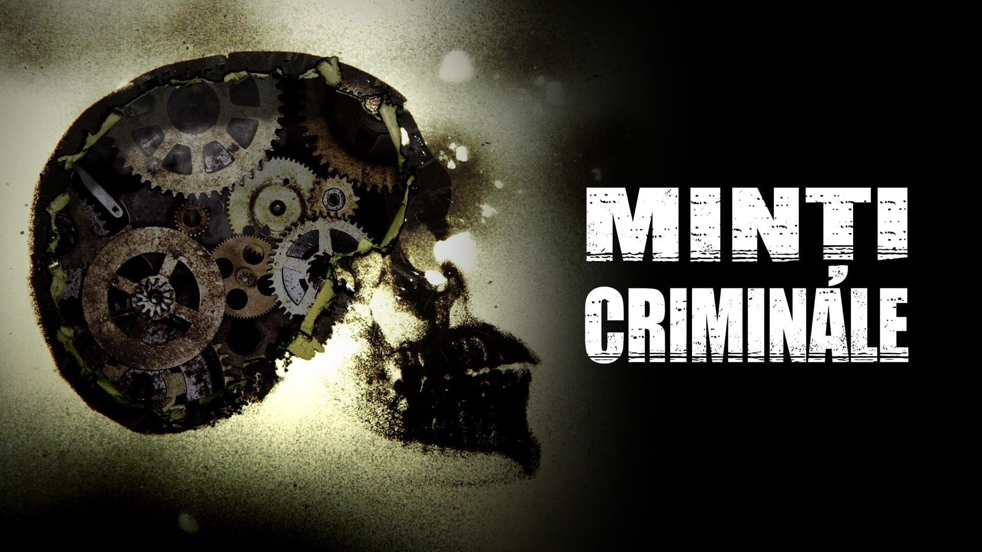 Minţi criminale Sezonul 13 Episodul 17