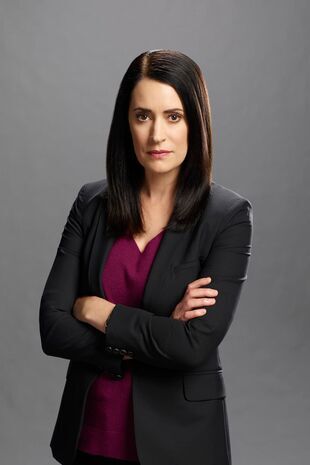 Minţi criminale Sezonul 12 Episodul 19