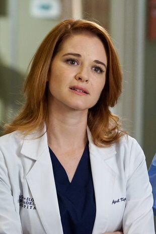 Anatomia lui Grey Sezonul 13 Episodul 14