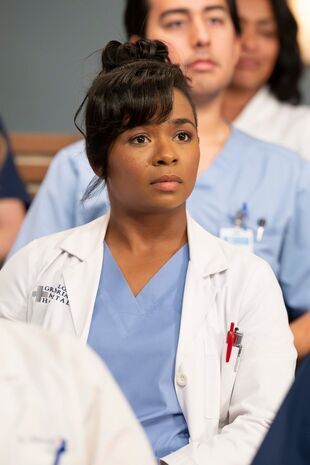 Anatomia lui Grey Sezonul 21 Episodul 14