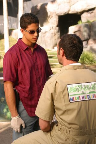 Les experts : Miami Saison 1 Épisode 16